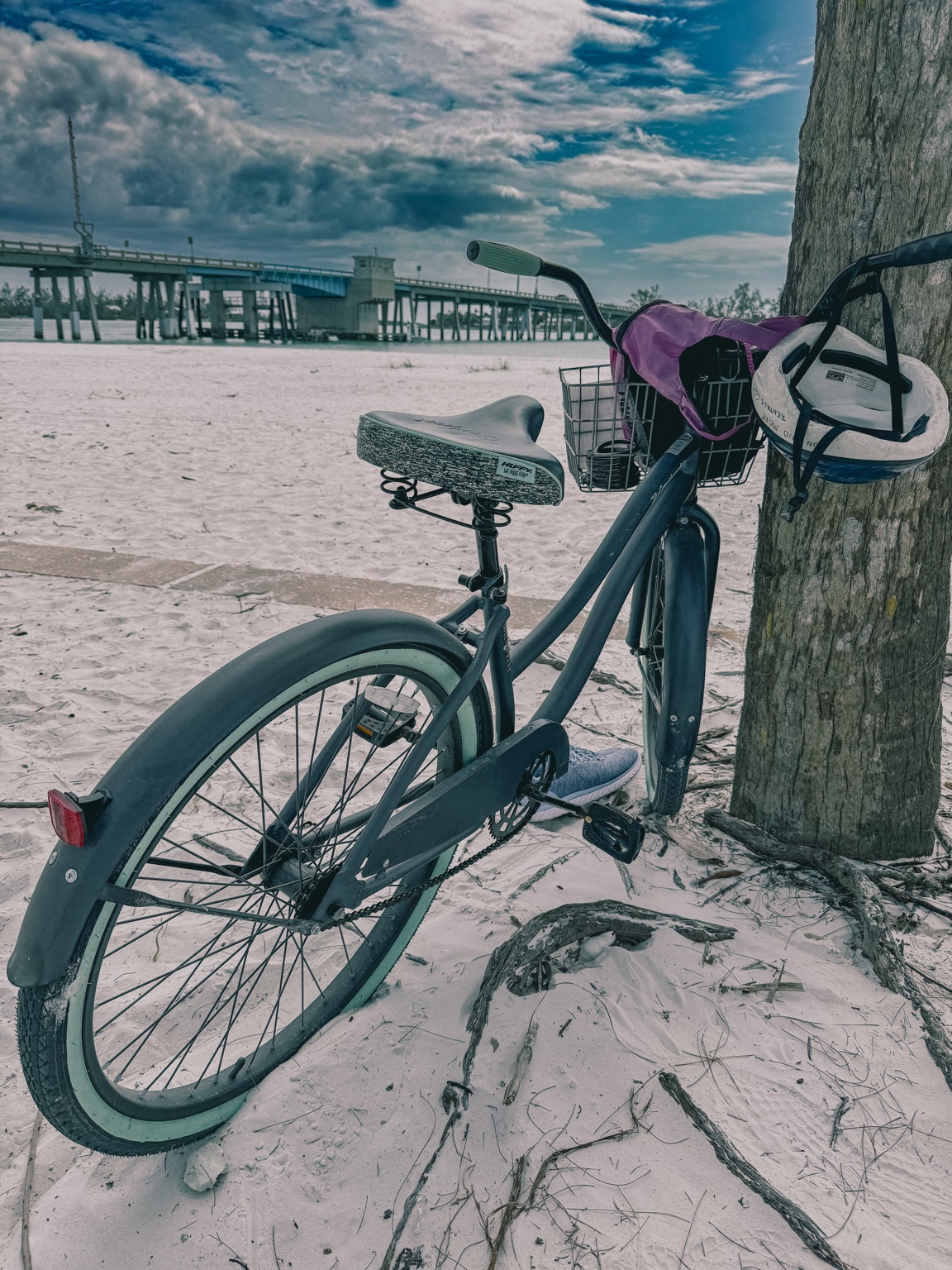 Beach cruiser bicycle beside a tree with Longboat Pass Bridge in the background
