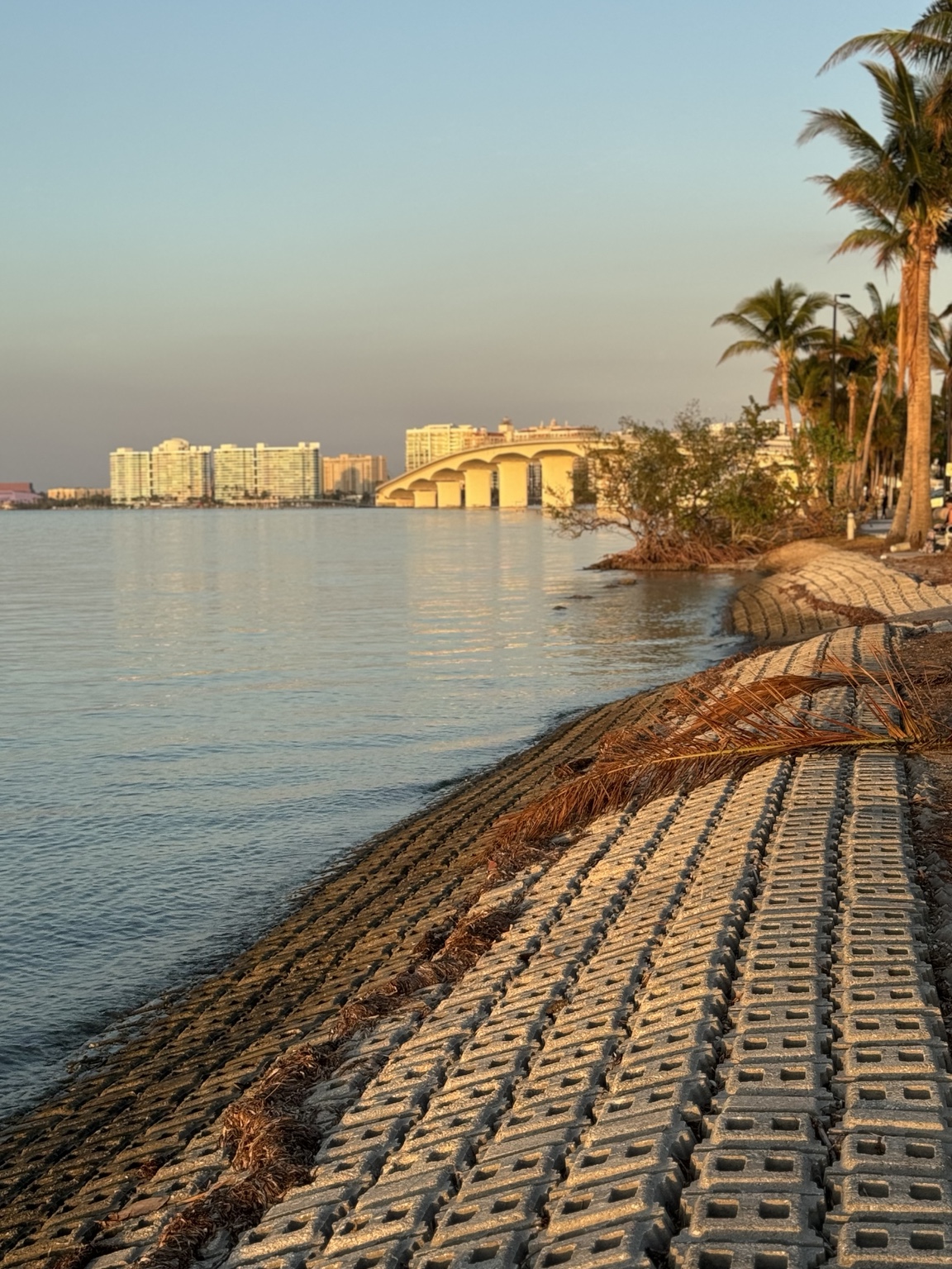 Golden-hour view of Sarasota Bay and the Ringling Bridge from Bird Key