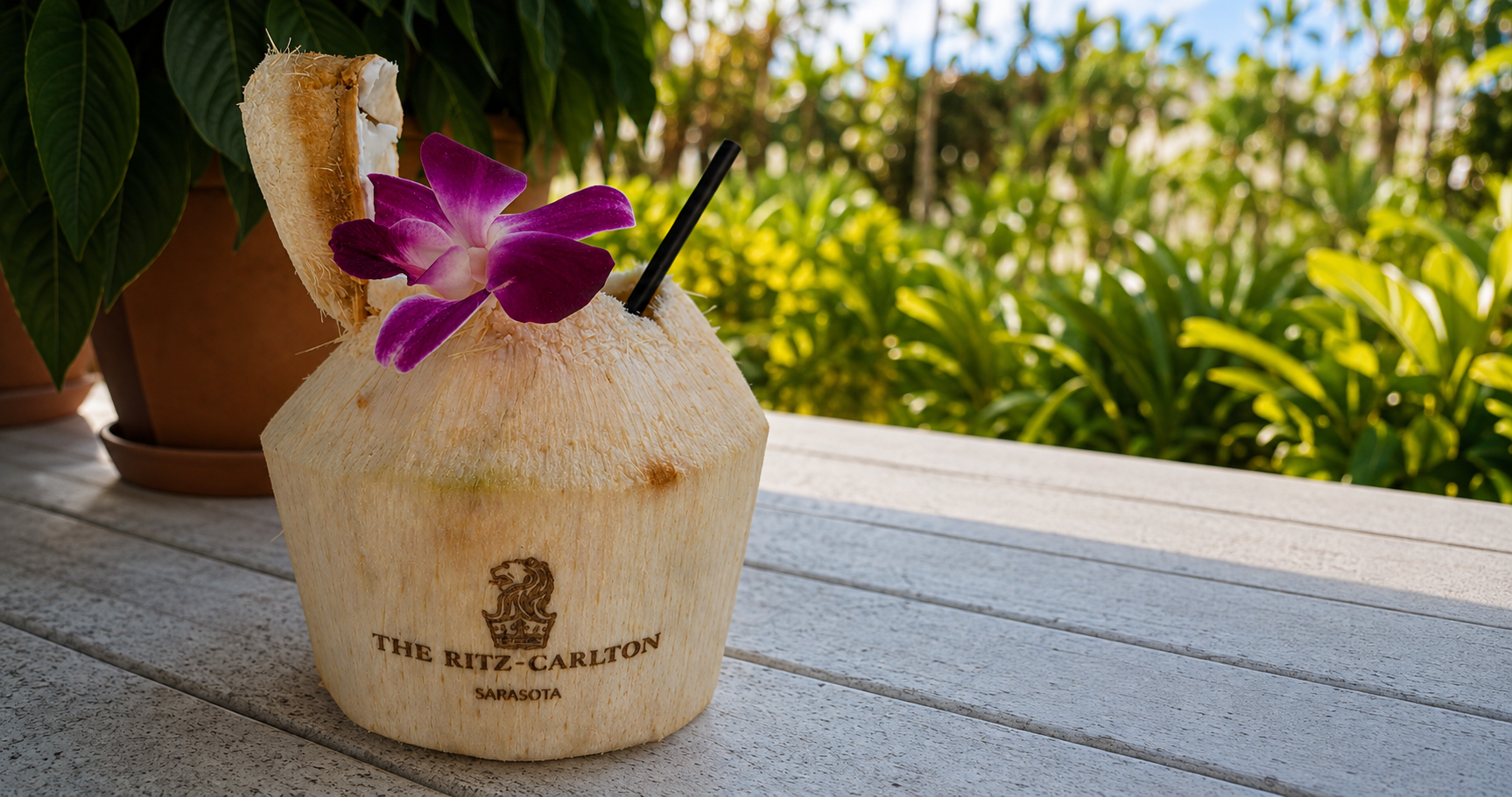 Fresh coconut drink decorated with a purple orchid on a garden terrace at The Ritz-Carlton, Sarasota
