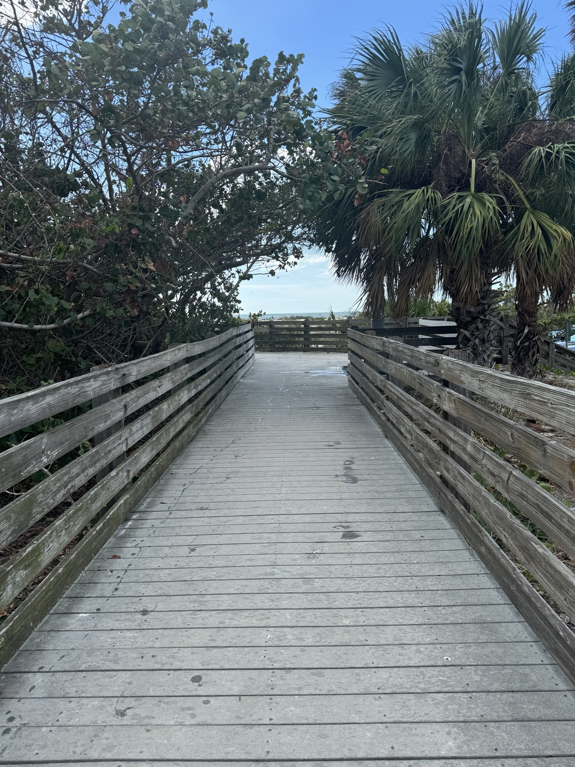 A wooden beach-access walkway framed by palms and sea grape on Lido Key