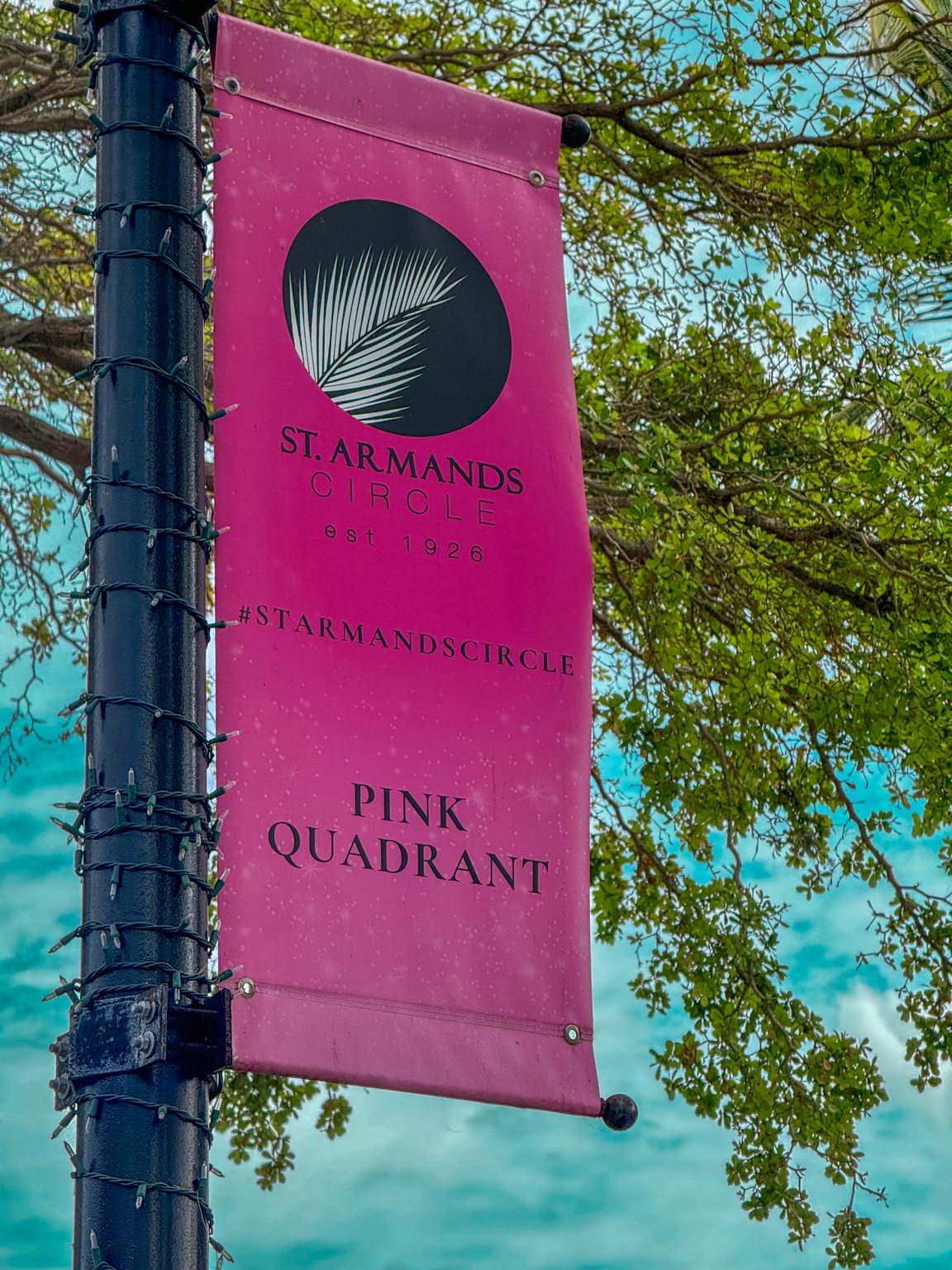 A pink quadrant banner beneath leafy trees at St. Armands Circle