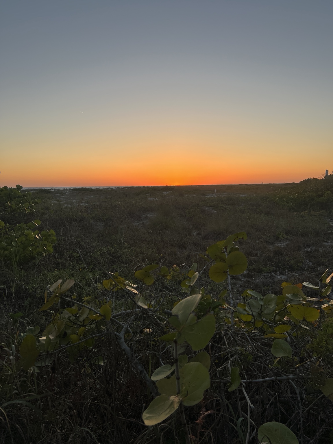 Orange sunset glowing beyond the natural dunes on Lido Key