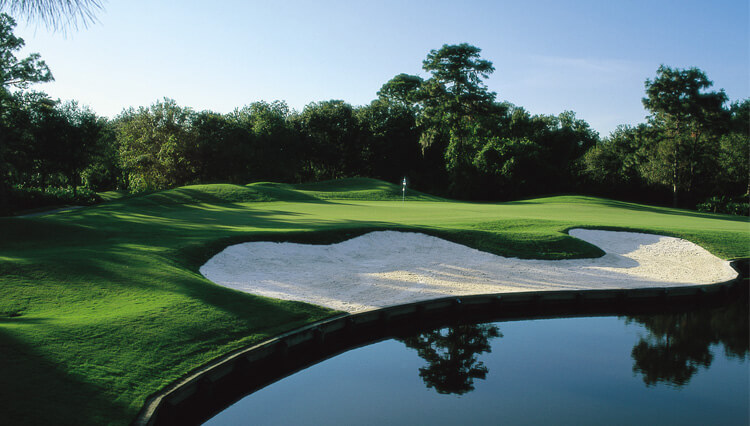 best public places to golf in Sarasota, public golf in Sarasota